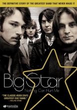 Cover art for Big Star: Nothing Can Hurt Me