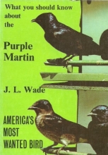 Cover art for What You Should Know About the Purple Martin