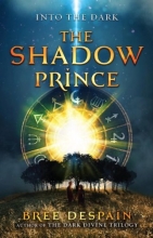 Cover art for Into the Dark Book #1: The Shadow Prince