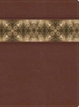 Cover art for The Apologetics Study Bible, Cinnamon/Brocade LeatherTouch