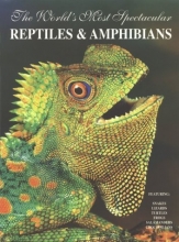 Cover art for The World's Most Spectacular Reptiles and Amphibians