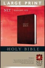 Cover art for Holy Bible New Living Translation Red Letter Large Print