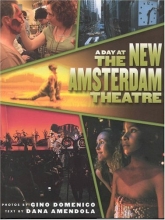 Cover art for A Day at the New Amsterdam Theatre (Disney)