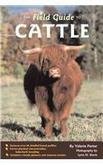 Cover art for Field Guide to Cattle