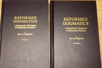 Cover art for Reformed Dogmatics (2 Volume Set)