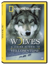 Cover art for Wolves: A Legend Returns to Yellowstone