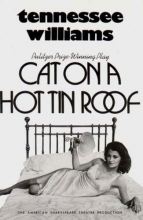 Cover art for Cat on a Hot Tin Roof