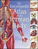 Cover art for The Encyclopedic Atlas of the Human Body (A Visual Guide to the Human Body)