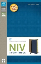 Cover art for NIV Study Bible, Imitation Leather, Tan/Blue, Red Letter Edition