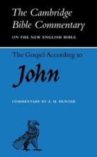 Cover art for The Gospel according to John (Cambridge Bible Commentaries on the New Testament)