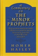 Cover art for A Commentary on the Minor Prophets