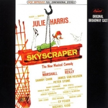 Cover art for Skyscraper