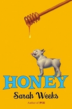 Cover art for Honey