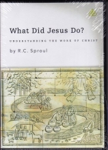 Cover art for What Did Jesus Do?: Understanding the Work of Christ 