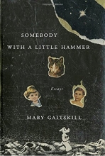 Cover art for Somebody with a Little Hammer: Essays