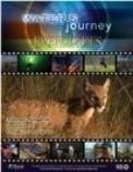 Cover art for Water's Journey- Everglades:  Restoring Hope