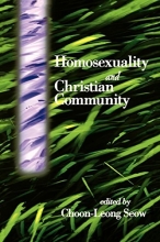 Cover art for Homosexuality and Christian Community (American Jewish Civilization)