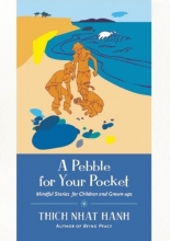 Cover art for A Pebble for Your Pocket
