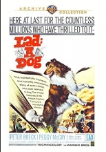 Cover art for Lad A Dog