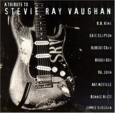 Cover art for Tribute to Stevie Ray Vaughan