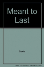 Cover art for Meant to Last (Critical issues series)