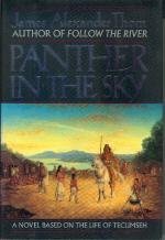 Cover art for Panther In The Sky