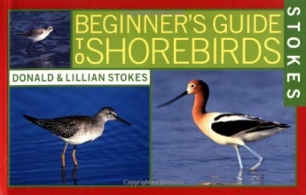 Cover art for Stokes Beginner's Guide to Shorebirds
