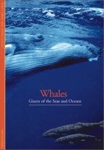 Cover art for Discoveries: Whales: Giants of the Seas and Oceans (Discoveries (Harry Abrams))