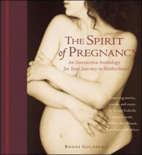 Cover art for The Spirit of Pregnancy : An Interactive Anthology for Your Journey to Motherhood