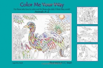 Cover art for Color Me Your Way