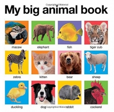 Cover art for My Big Animal Book (My Big Board Books)
