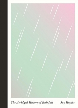 Cover art for The Abridged History of Rainfall (McSweeney's Poetry Series)