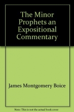 Cover art for The Minor Prophets: An Expositional Commentary (Hosea-Jonah)