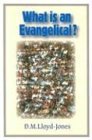 Cover art for What Is an Evangelical