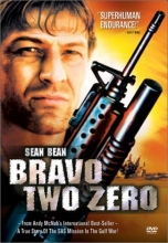 Cover art for Bravo Two Zero