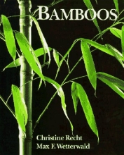 Cover art for Bamboos