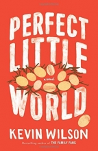 Cover art for Perfect Little World: A Novel
