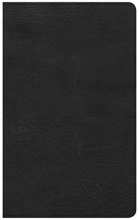 Cover art for CSB Ultrathin Reference Bible, Black LeatherTouch