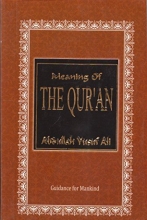 Cover art for Meaning of the Qur'an