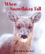Cover art for When Snowflakes Fall