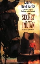 Cover art for The Secret of the Indian