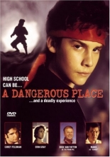 Cover art for A Dangerous Place