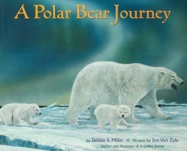 Cover art for A Polar Bear Journey
