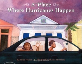 Cover art for A Place Where Hurricanes Happen