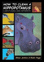 Cover art for How to Clean a Hippopotamus: A Look at Unusual Animal Partnerships