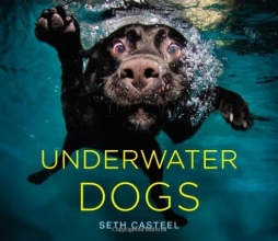 Cover art for Underwater Dogs