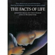 Cover art for The Facts of Life: 2