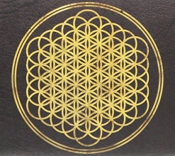 Cover art for Sempiternal