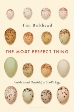 Cover art for The Most Perfect Thing: Inside (and Outside) a Bird's Egg
