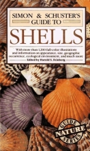 Cover art for Simon & Schuster's Guide to Shells (Nature Guide Series)